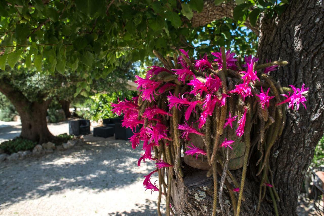 Agriturismo Grotta Di Figazzano Cisternino Ngoại thất bức ảnh