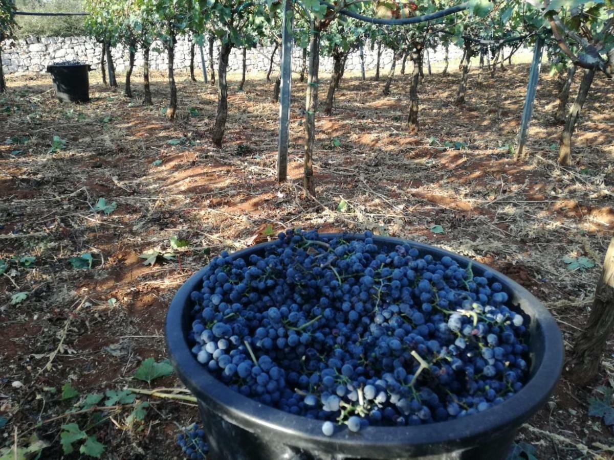 Agriturismo Grotta Di Figazzano Cisternino Ngoại thất bức ảnh